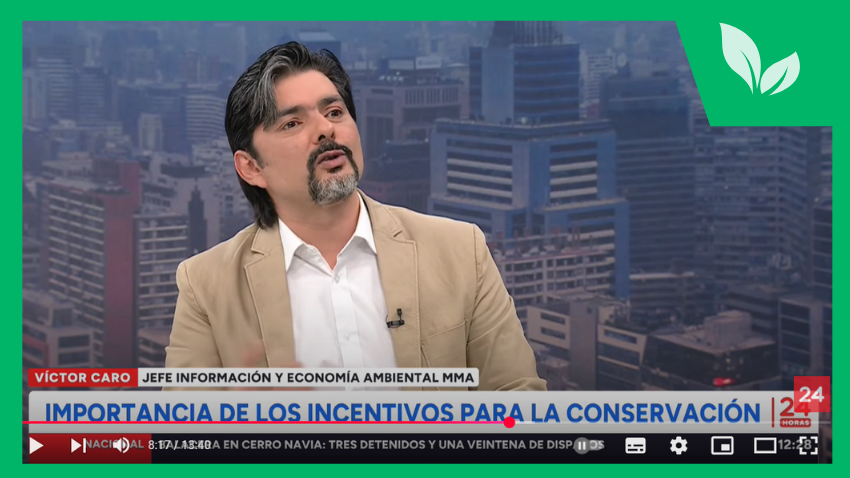 Biodiversidad como motor de políticas públicas: académico de Administración Pública FAE Usach destaca experiencias territoriales en entrevista con TVN