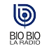 logo-bio-bio