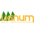 logo-lignum